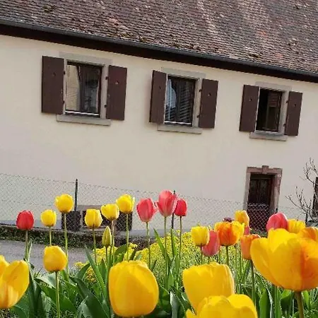 Apartamento Petit Week End Dans La Vallee Breitenbach-Haut-Rhin