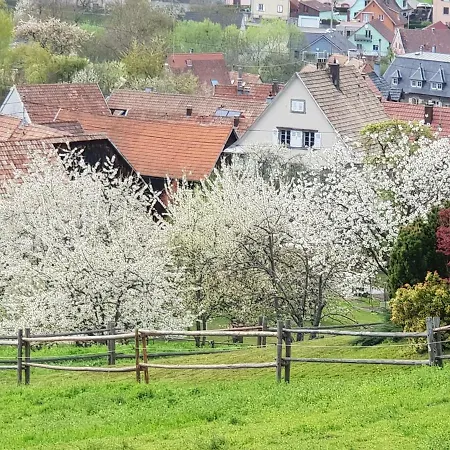 Petit Week End Dans La Vallee Lejlighed *