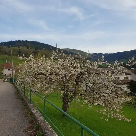 Lejlighed Petit Week End Dans La Vallee Breitenbach-Haut-Rhin