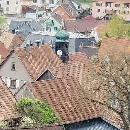 Petit Week End Dans La Vallee Apartamento Breitenbach-Haut-Rhin