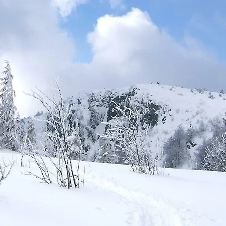 Lejlighed Petit Week End Dans La Vallee