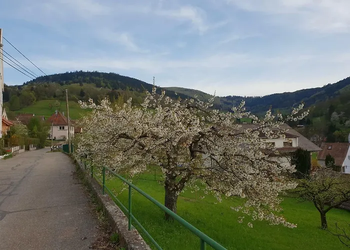 Daire Petit Week End Dans La Vallee Breitenbach-Haut-Rhin